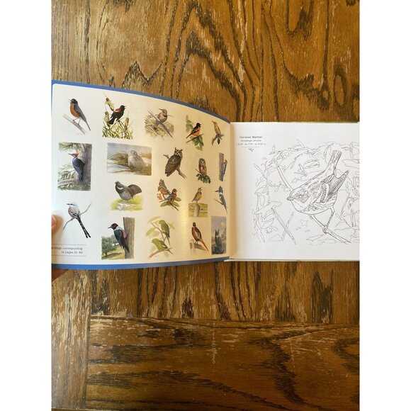 The Sibley Birds Coloring Field Journal By Cecilia Lehar Hardcover NEW - Picture 4 of 7